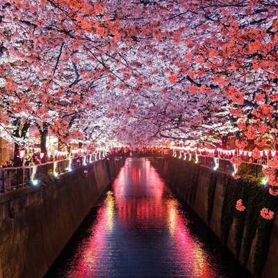 Japan spring trip